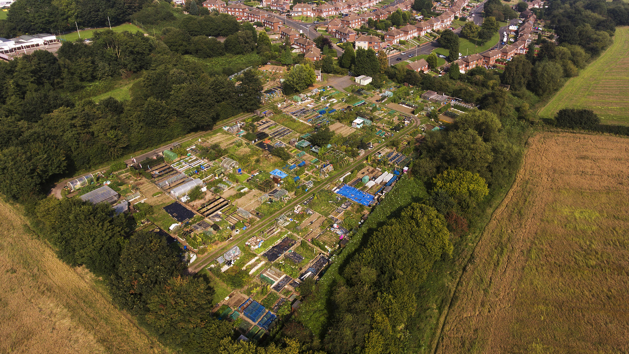 Aerial View of the allotment